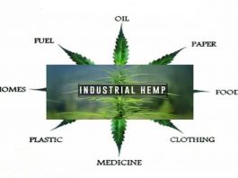 Hemp_Industry