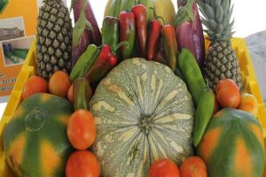 agriculture_produce