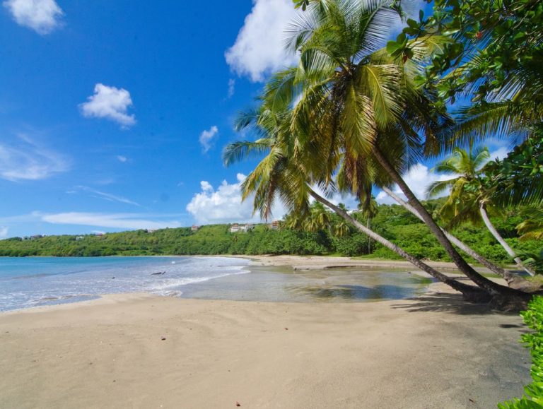 Future proofing Caribbean tourism