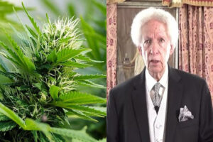 cannabis_cenac