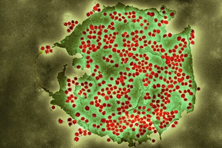 sarc-cov-2-green