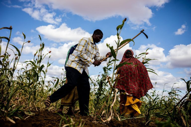 Increasing risk of hunger set to spread in hotspot areas, warns new UN report