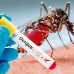 dengue