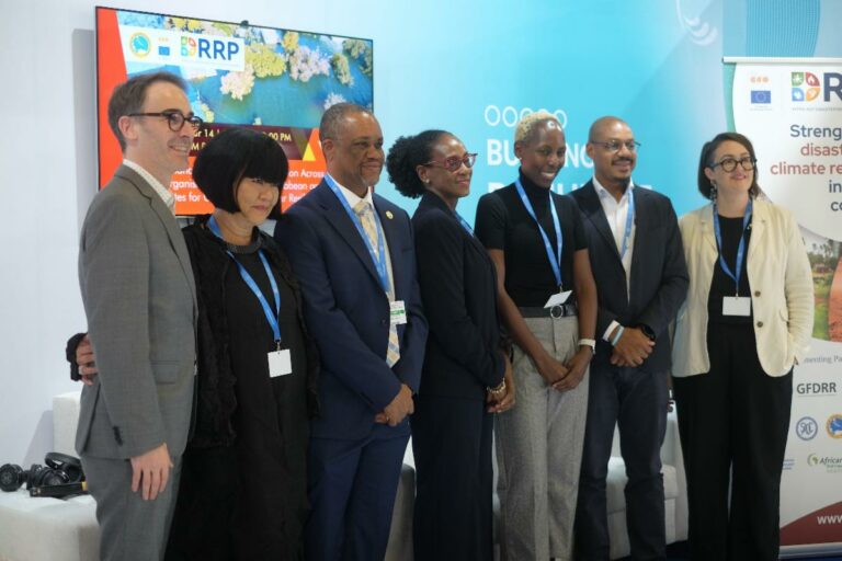 Limited technical capacity hinders climate change adaptation in Small Island Developing States