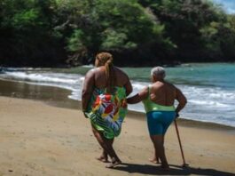 WHO issues global guideline on the use of GLP-1 medicines in treating obesity