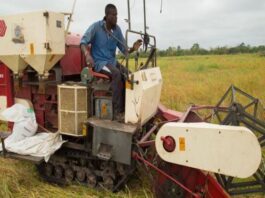 Five questions that matter for jobs in agriculture and food