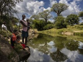 Renewable water availability per person plunges 7 percent in a decade as global scarcity deepens, FAO data shows