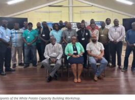 IICA strengthen capacity for White Potato production and marketing