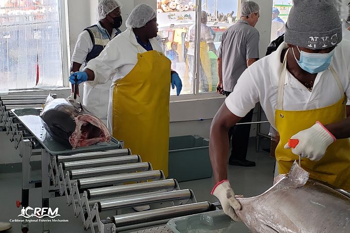 Fisheries authorities across the Caribbean Community (CARICOM) convene in Belize