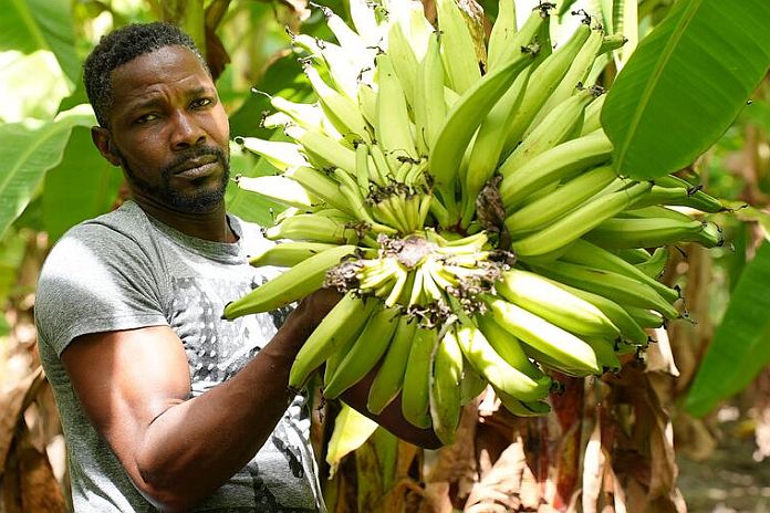 Shockwaves of Middle East war reach Caribbean as food prices soar