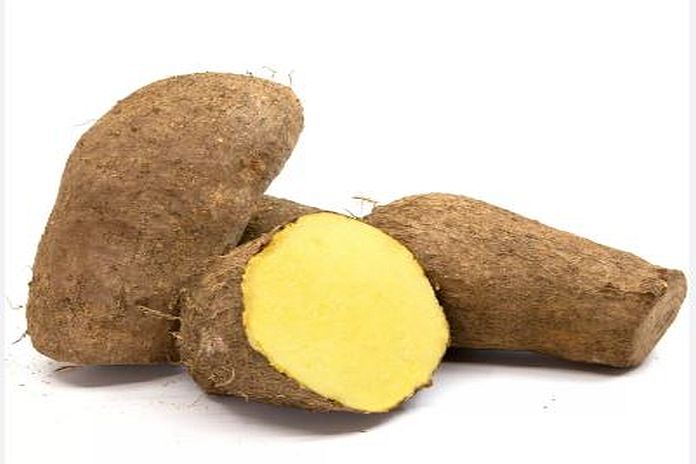 Jamaica to invest $100 Million in Yam Recovery Programme