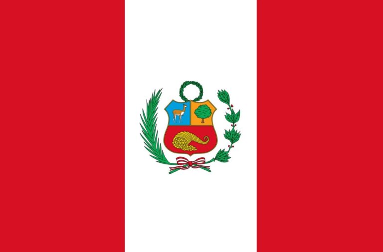 OAS Electoral Mission in Peru begins final deployment for the presidential runoff election