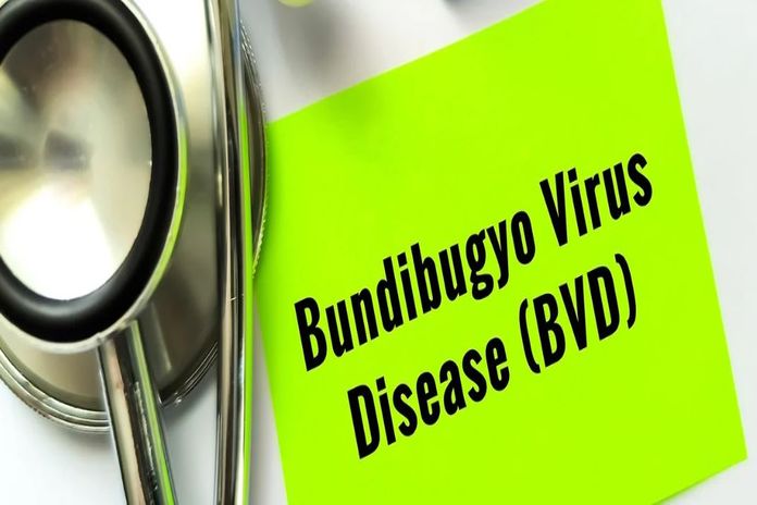 AfDB to provide USD 13 million to bolster Ebola response-outbreak in DRC, South Sudan and Uganda