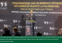 Africa wants to make its critical minerals a lever for industrialisation and economic transformation