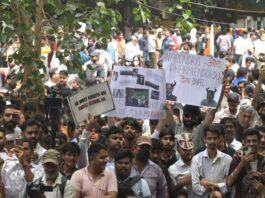 Young Indian ‘cockroaches’ reclaim democratic space
