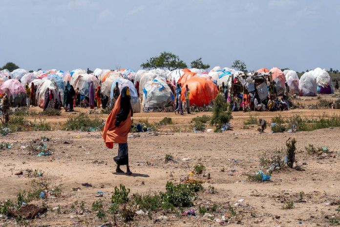 In Somalia, AI is helping deliver food to hungry families