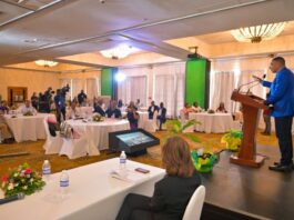 Public service must facilitate investment and development, says PM Holness