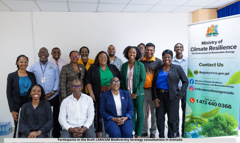 Draft CARICOM Biodiversity Strategy ongoing