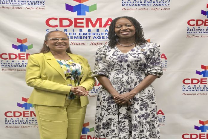CAF_ CDEMA-housing