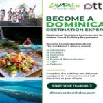 DDA OTT Graphic