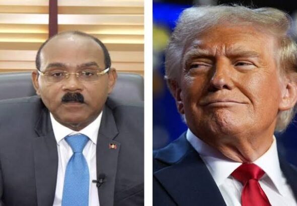 browne_trump