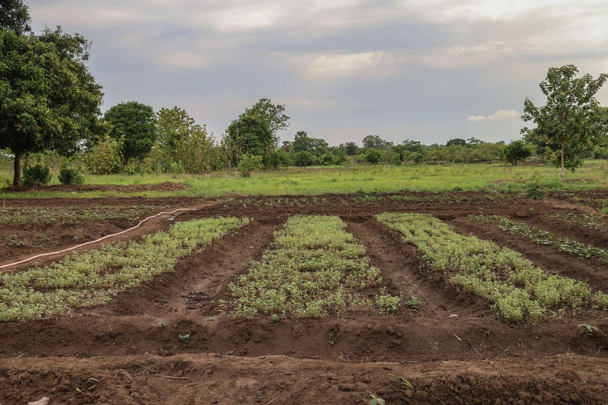 SOUTH SUDAN 2025. CRAL Project