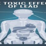 lead